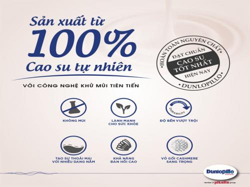 Gối cao su Dunlopillo Comfort